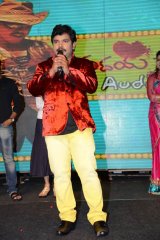 Hrudaya Kaleyam Audio Launch